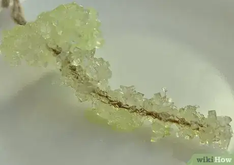 Image titled Make a Crystal Garden Step 16