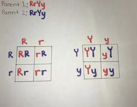 Image titled Photo 4 wiki cropped