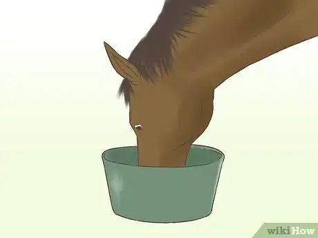 Image titled Get a Horse Fit Step 15