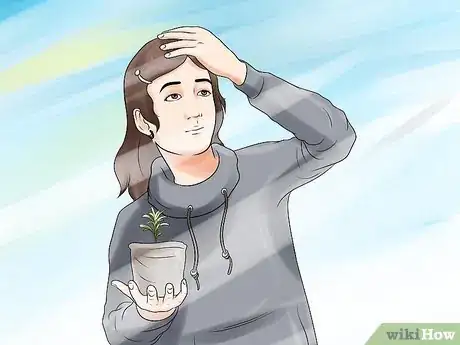 Image titled Divide a Lavender Plant Step 5