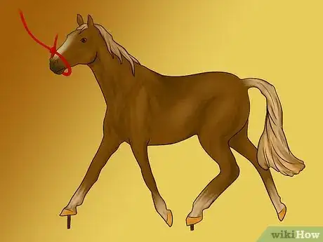 Image titled Make Model Horse Tied Halters Step 3