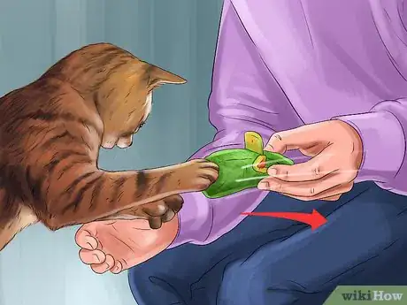 Image titled Train Your Cat with Positive Reinforcement Step 9