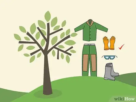 Image titled Prune an Avocado Tree Step 03