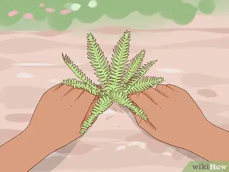 Image titled Grow Your Own Bouquet Step 11