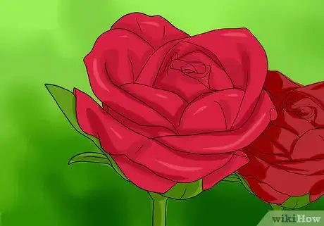 Image titled Keep Rose Petals Fresh Step 1
