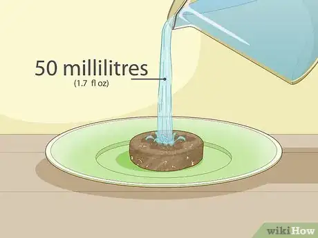 Image titled Plant a Woolworths Discovery Garden Step 3