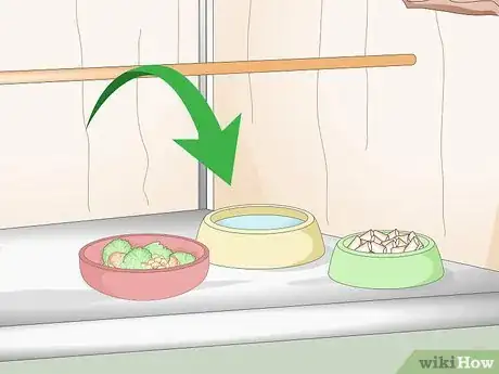 Image titled Set Up a Pionus Parrot Habitat Step 11