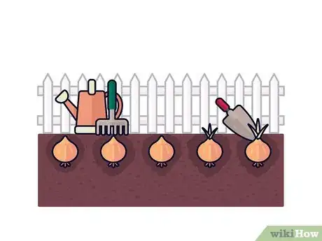 Image titled Grow Saffron Step 6