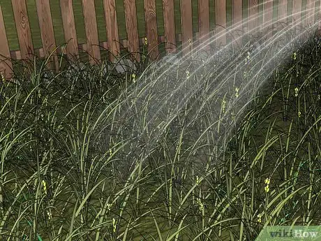 Image titled Kill Crane Flies Step 4