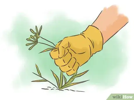 Image titled Grow Passion Fruit Step 17