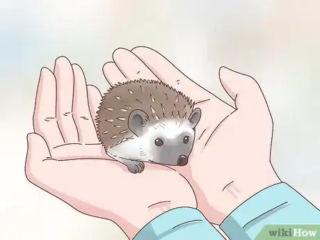 Image titled Take Care of a Hedgehog Step 22
