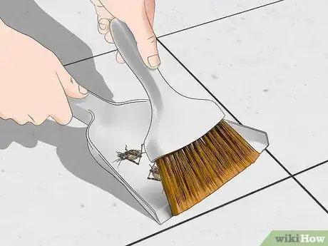 Image titled Keep Brown Recluse Spiders Out of Your House Step 10