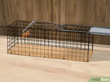 Image titled Get Rid of Rats Step 11