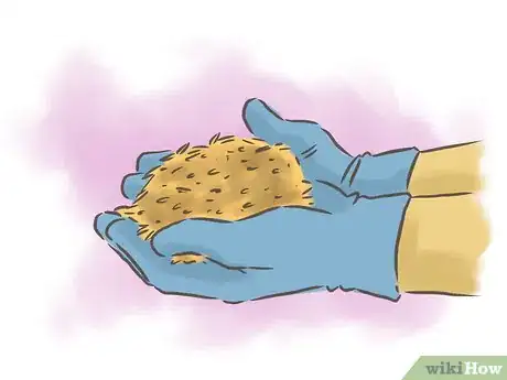 Image titled Grow Passion Fruit Step 13