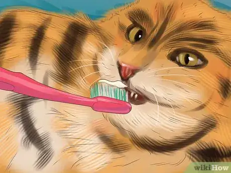 Image titled Care for Toygers Step 8