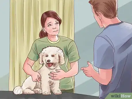 Image titled Help Your Dog Through Physical Therapy Step 1