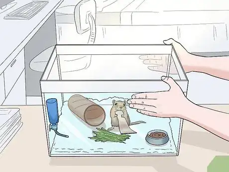 Image titled Make a Comfortable Gerbil Home Step 10