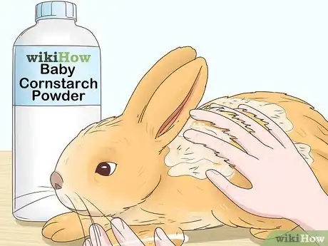 Image titled Treat Diarrhea in Rabbits Step 12