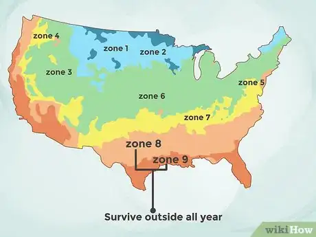 Image titled Grow Sundews Step 2