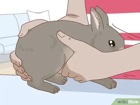Image titled Befriend a Shy Rabbit Step 15