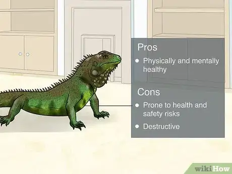 Image titled Let Your Green Iguana Free Roam Step 1