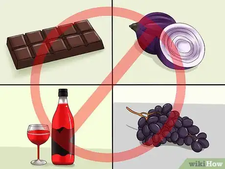 Image titled Protect Your Dog from Holiday Hazards Step 12