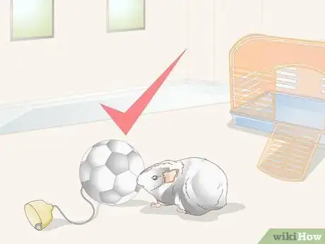 Image titled Choose Toys for a Guinea Pig Step 4