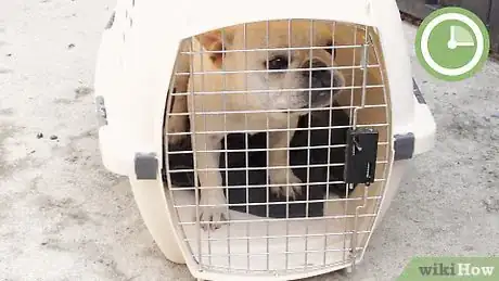 Image titled Help Puppies Learn Separation Skills Step 14