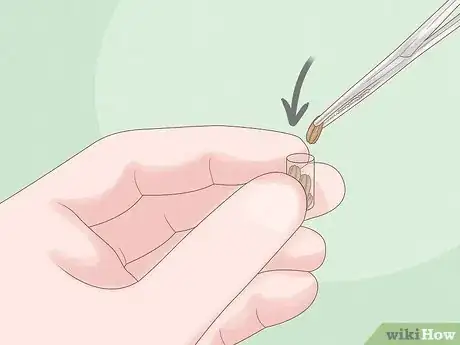 Image titled Store Pollen Step 2