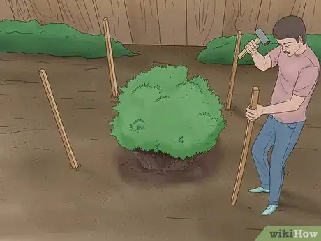 Image titled Protect Garden Berries Step 2