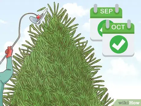 Image titled Prune Evergreen Trees Step 15