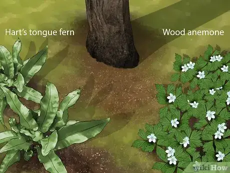 Image titled Plant Under a Tree Step 2