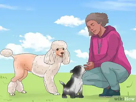 Image titled Understand Small Dog Syndrome Step 13