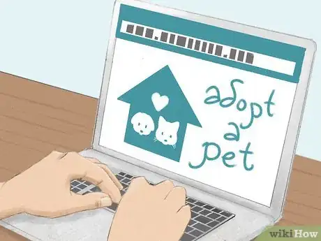 Image titled Reduce Guinea Pig Allergy Step 11