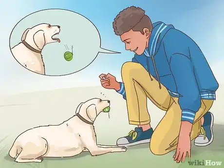 Image titled Survive the Holidays with Your Dog Step 12