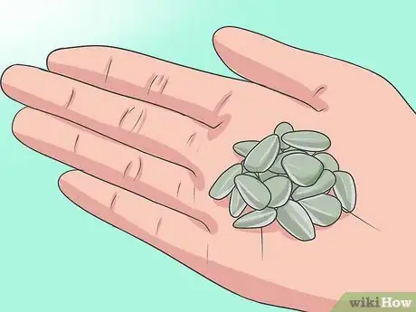 Image titled Plant Sunflower Seeds Step 16