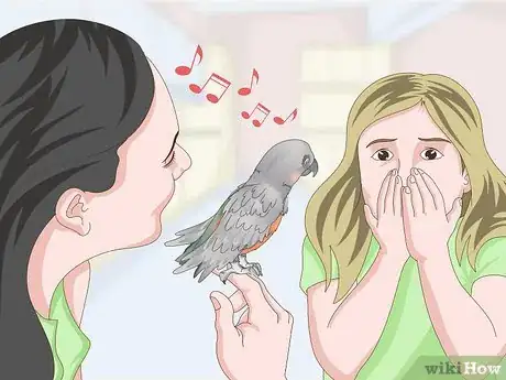 Image titled Keep a Red Bellied Parrot Entertained Step 14