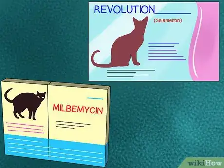 Image titled Treat Heartworm Disease in Cats Step 7