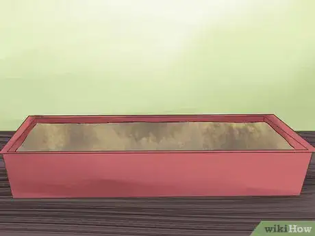 Image titled Take Care of a Japanese Bobtail Step 9