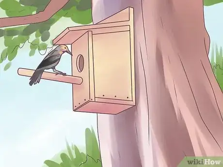 Image titled Attract Woodpeckers to Your Yard Step 8