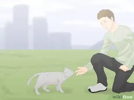 Image titled Handle a Stray Cat Step 11