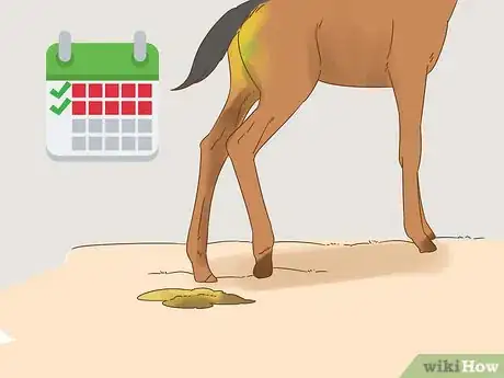 Image titled Care for a Foal Step 10