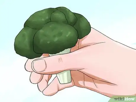 Image titled Prevent Malocclusion in Guinea Pigs Step 1