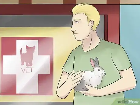 Image titled Prevent Poisoning in Pet Rabbits Step 11