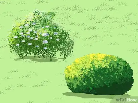 Image titled Grow a Bed Head Garden Step 12