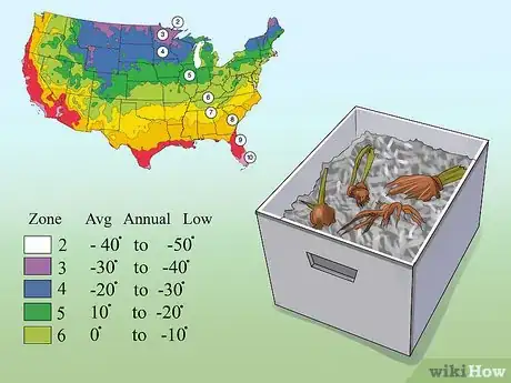 Image titled Grow Dahlias Step 3