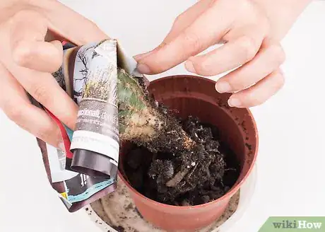 Image titled Pot a Spiny Cactus Without Getting Pricked Step 5