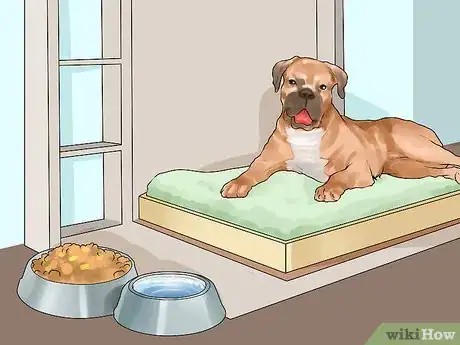 Image titled Handle a Dog Given to You As a Gift Step 8