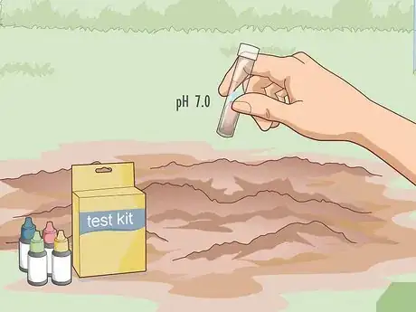 Image titled Care for a Bleeding Heart Step 3