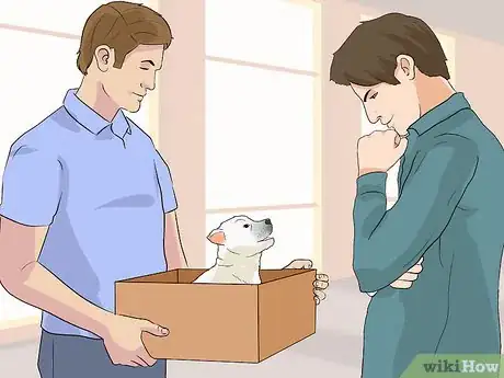 Image titled Socialize Orphaned Newborn Puppies Step 10